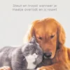 Afscheid van je huisdier eBook