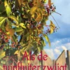 Als de tuinfluiter zwijgt eBook