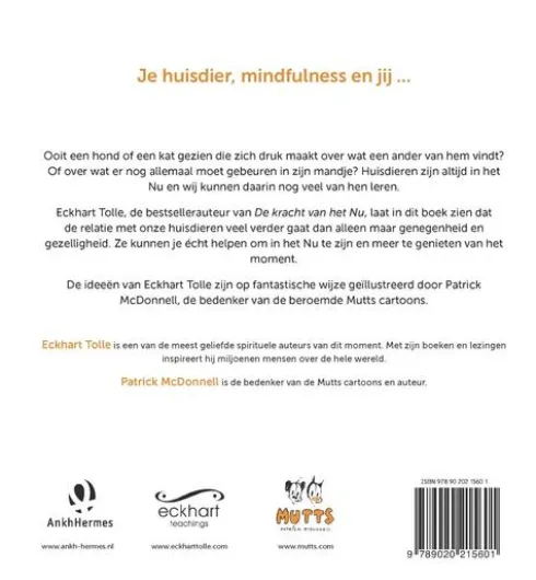 Altijd in het nu eBook