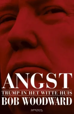 Angst eBook