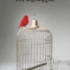 Autonomie eBook