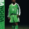 Babangida eBook