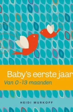 Baby's eerste jaar eBook