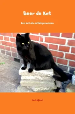 Beer de Kat eBook