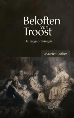 Beloften van troost eBook