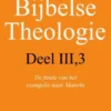 Bijbelse theologie eBook