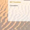 BiSL® Foundation Courseware eBook
