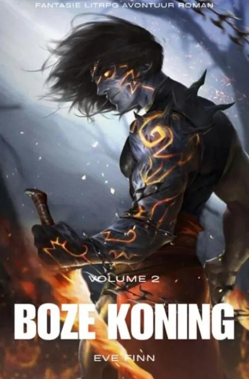 Boze koning eBook
