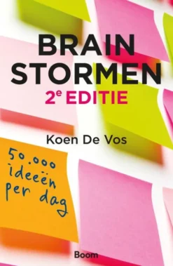 Brainstormen eBook