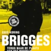 Brigges eBook