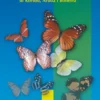 Butterflies and Moths of Curacao, Aruba and Bonaire eBook