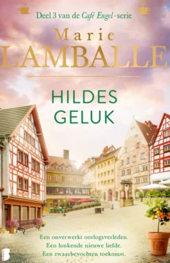 Café Engel 3 - Hildes geluk eBook