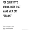 Cats eBook
