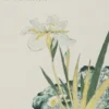 Confucianisme eBook