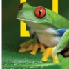 Costa Rica eBook