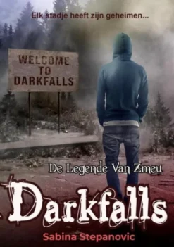 Darkfalls eBook