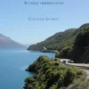 De bestemming eBook