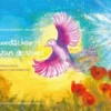 De boodschap van de vogel eBook