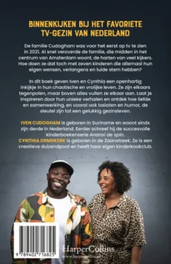 De Cudoghams eBook
