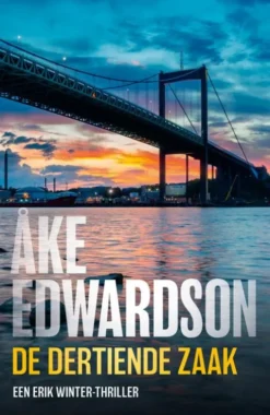 De dertiende zaak eBook