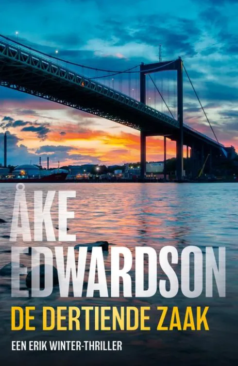 De dertiende zaak eBook