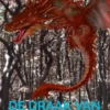 De draak van Walarga eBook