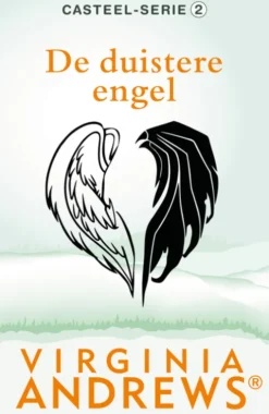 De duistere engel eBook