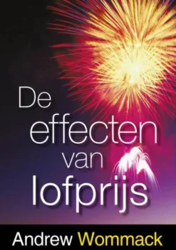De effecten van lofprijs eBook