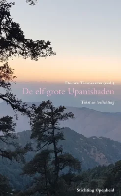 De elf grote Upanisaden e-book eBook