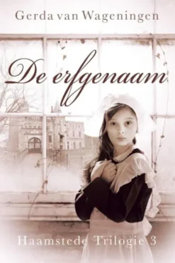 De erfgenaam eBook