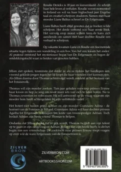De erfgenaam eBook