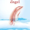 De gevallen engel eBook