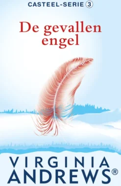De gevallen engel eBook