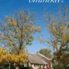 De grote ommekeer eBook