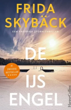 De ijsengel eBook