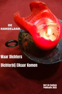 De kandelaar eBook