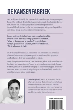 De kansenfabriek eBook