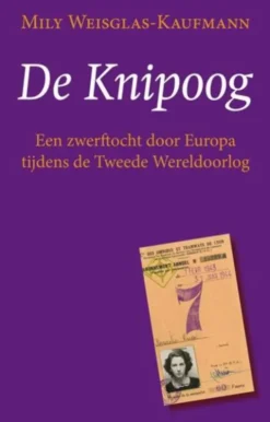 De knipoog eBook