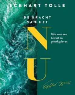 De kracht van het NU eBook