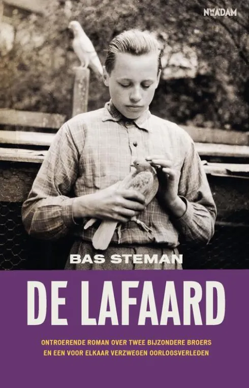 De lafaard eBook