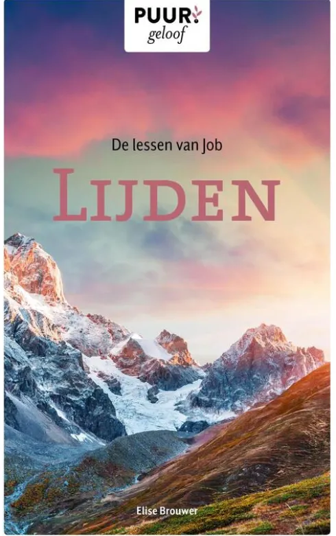 De lessen van Job eBook