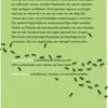 De mierenmaatschappij eBook