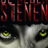 De negen stenen eBook