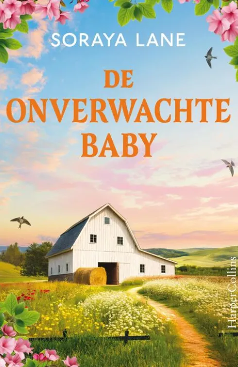 De onverwachte baby eBook