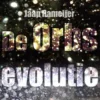 De orbs evolutie eBook