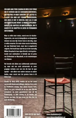 De oudejaars eBook