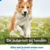 De puberteit bij honden eBook