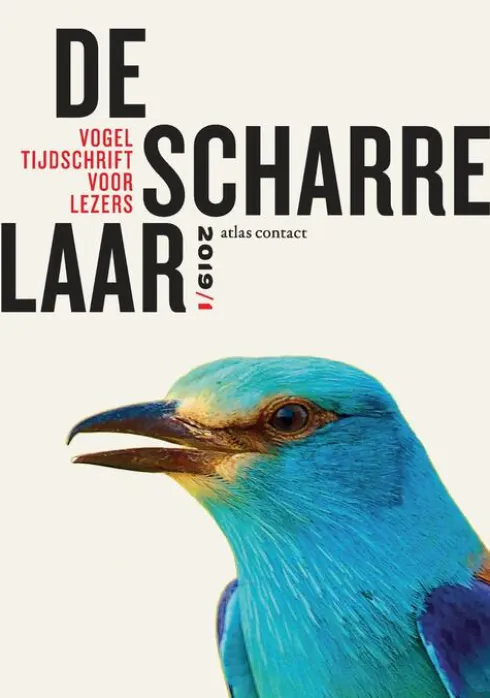 De scharrelaar - 2019/1 eBook