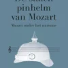 De stalen pinhelm van Mozart eBook