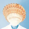 De stem van de Noordzee eBook